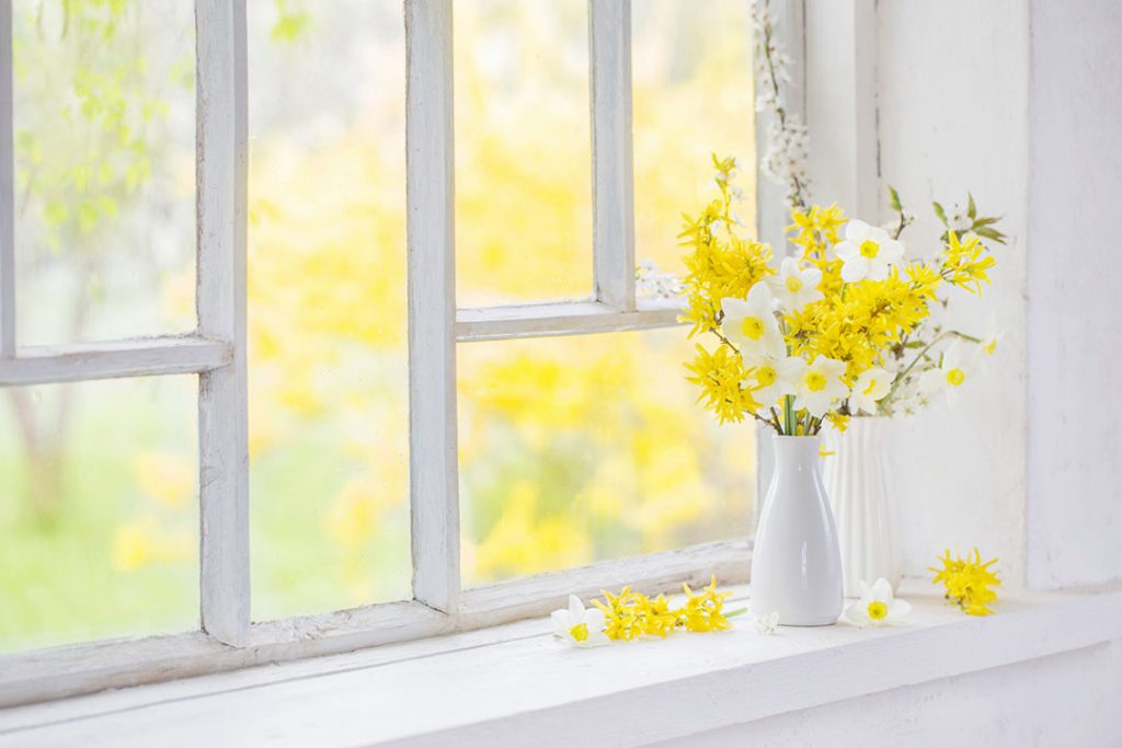 Flowers on a window sill.